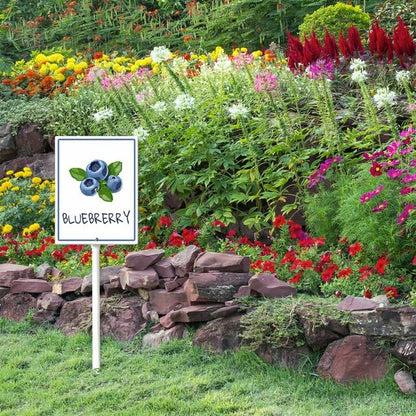 Blueberry Marker Yard Sign with Stakes 4.6in×6in, Aluminum Yard Signs, Waterproof Plant Marker Reusable Garden Stake Tags with Vegetable Names for Nursery Outdoor Garden