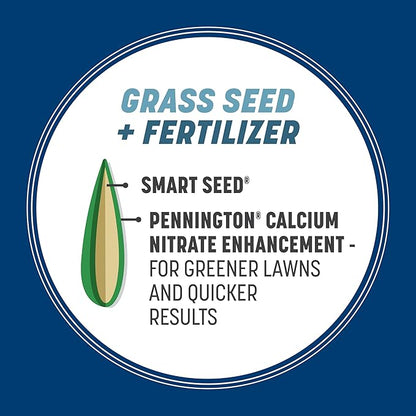 Pennington Smart Seed Kentucky Blue Grass Mix 3 lb