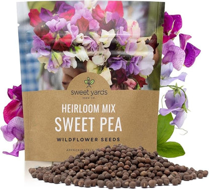 Sweet Pea Seeds Heirloom Mix - Bulk 1 Ounce Packet - Over 350 Seeds - Large Fragrant Lavender, Purple, Red, Pink and White Blooms