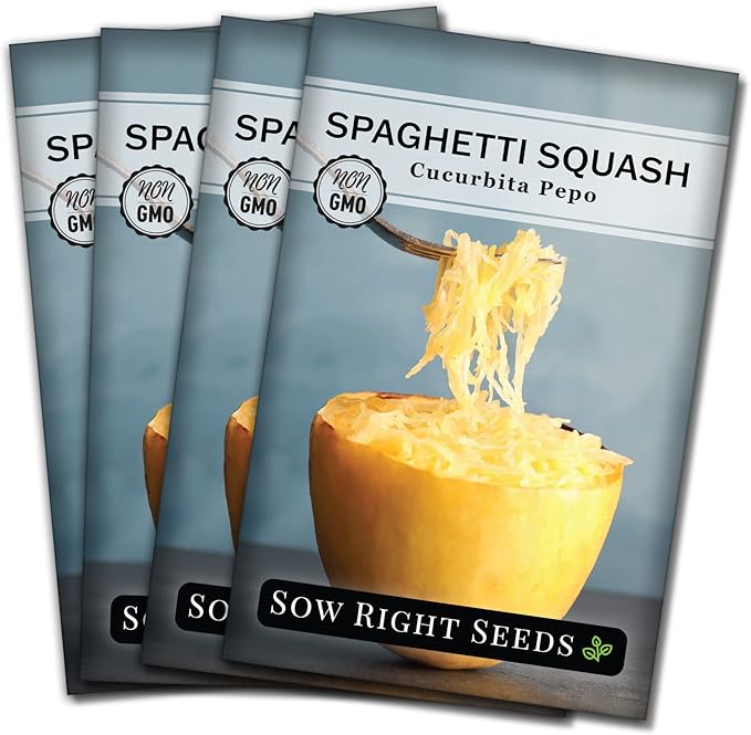 Sow Right Seeds - Spaghetti Squash Seeds for Planting - Non-GMO Heirloom Packet with Instructions to Plant and Grow an Outdoor Home Vegetable Garden - Roast and Enjoy Eating This Favorite Variety (4)