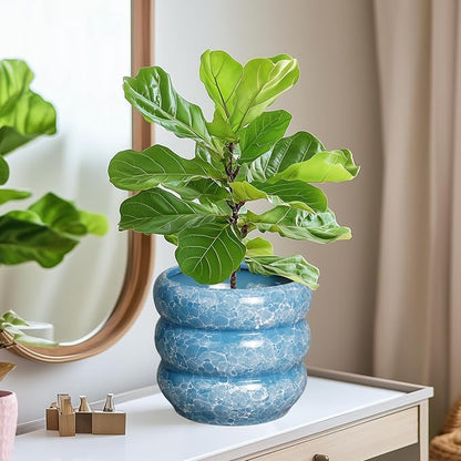 SQOWL 8 Inch Plant Pot with Drainage Hole - Ceramic Pot for Plants Outdoor Planter for Indoor Plants Decorative Plant Pot Medium Flower Pot Round Planter for Bathroom House Decor Blue