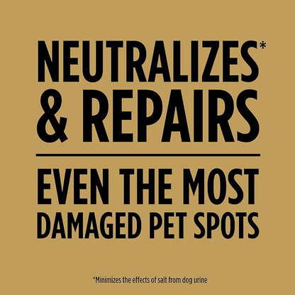 Scotts EZ Seed Dog Spot Repair for Tall Fescue Lawns, Combination Mulch, Grass Seed and Soil Amendment to Neutralize and Repair Pet Damage in Lawns, 2 lb