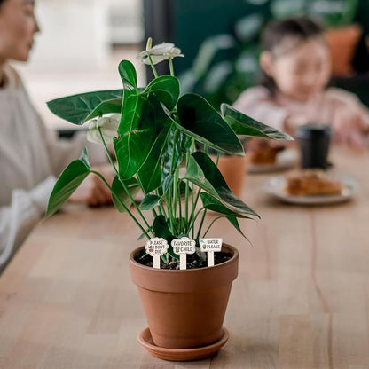 HANABASS 75pcs Funny Wooden Plant Markers Garden Tags for Decor Cute Labels for Flowers Stylish Wooden Stakes for Neat Garden Organization