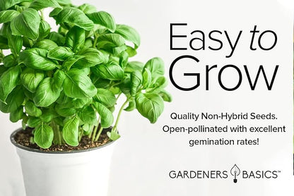 Gardeners Basics, Basil Seeds for Planting Home Garden Herbs - 5 Variety Herb Pack Thai, Lemon, Cinnamon, Sweet and Dark Opal Basil Seeds Herb Seeds for Indoors, Outdoors, Hydroponics & Aquaponic