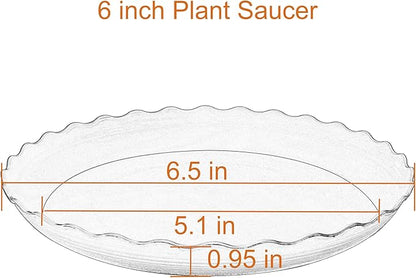 6 Pack of 6 inch Plant Saucer Plant Tray, Plastic Plant Saucer, Heavy Duty Plant Tray for Pots, Plant Saucers for Indoors Planter, Garden Water Plate Bowls for Gallon Grow Bags (Blue)