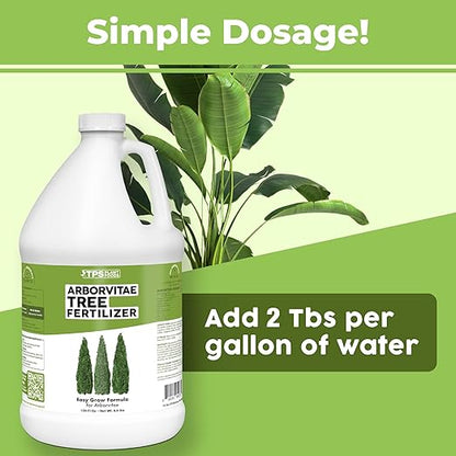 Arborvitae Tree Fertilizer for All Arborvitaes, Evergreen Shrubs and Thuja Trees, Liquid Plant Food 1 Gallon (128oz)