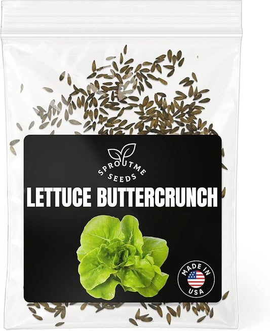 Buttercrunch Lettuce Seeds for Planting – 500+ Heirloom Non-GMO Bibb Lettuce, Sweet Crisp Leaves, Cool Season Spring Garden Crop, High Germination (Lactuca Sativa)