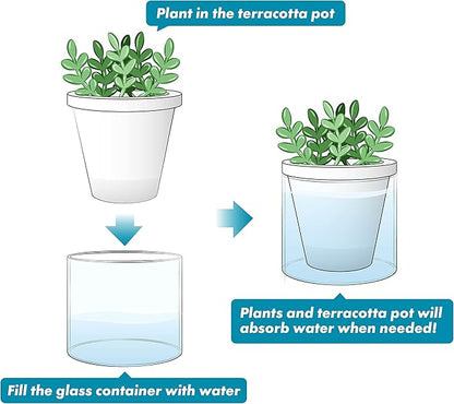 D'vine Dev 4 Inch Design Self Watering Planter for Indoor Plants, White Terracotta Pots with Cylinder Glass Cup, Set of 2, 37-Y-A-2
