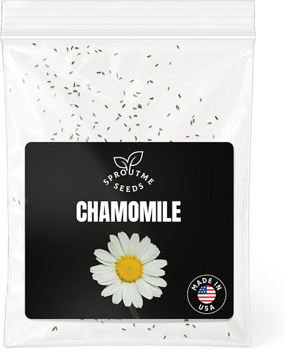 Chamomile German Seeds for Planting – 300+ Non-GMO Heirloom German Chamomile Flower Seeds, High Germination (Matricaria chamomilla)