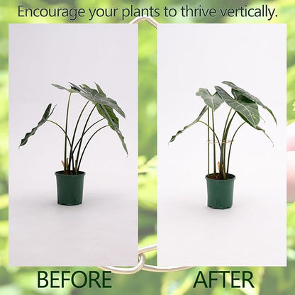 Monstera Plant Stem Support System - 5 Piece Set (5.5x4.7in) | Durable Plant Support Stakes for Climbing Plants & Fishbone Cactus | Ideal Leaf Stabilizer for Indoor Plants & Monstera Care