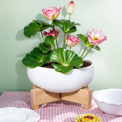 Baderke 2 Pcs Lotus Bowl Planter with Base Ceramic Hydroponic Planter Water Lily Bowl for Planting Aquatic and Indoor Plants Household Ceramic Basin Decor(White)