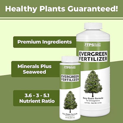 Evergreen Tree Fertilizer for All Conifer Trees and Shrubs, Liquid Plant Food 1 Gallon (128oz)