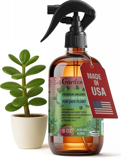 GARDENERA Professional Organic Liquid Kelp Spray for Jade Plants Plants - 8 oz - Ready-to-Use Fully Organic Seaweed & Kelp Fertilizer Mist