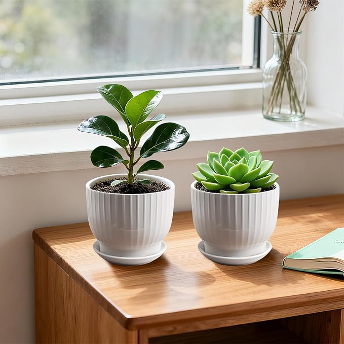 5.5 Inch Plant Pot, Ceramic Planter with Drainage and Saucer，Ceramic Pots for Plants, Indoor Plant pots，Succulent Orchid Flower Pot(Pure White,4 Pack)