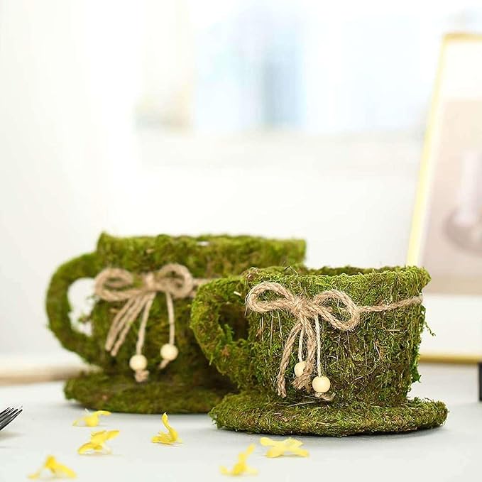 Efavormart Set of 2 | Preserved Moss Teacup Planter Box with Natural Braided Twine Bow - 5" & 4.5"