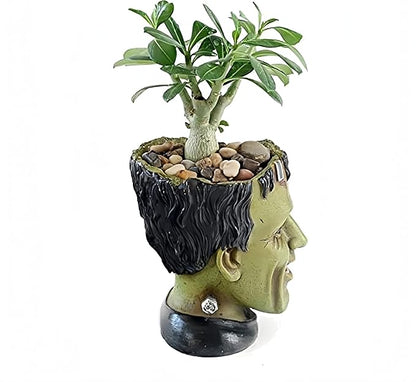 Funny Planter Head Planter Succulent Pot with Drainage Hole Fairy Garden Resin Cactus Plant Pot Pencil Holder Desk Storage Gift for Women Men(Frankstein)