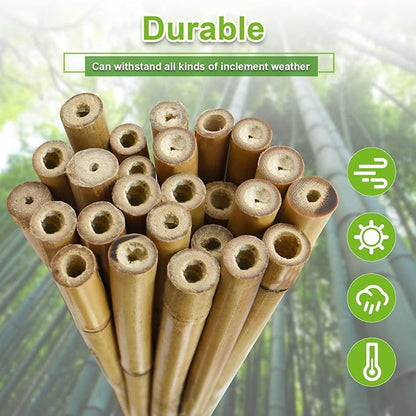30pcs 3/10" D Thicker Heavy Duty Bamboo Stakes, 2FT Plant Stakes, Natural Garden Stakes for Tomato, Bean, Flowers,Trees Potted and Climbing Plant Support