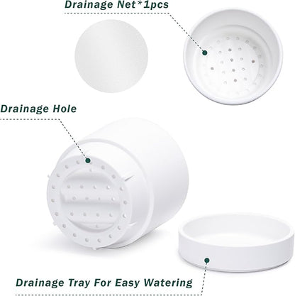 Phoenix Vine 4 Inch and 6 Inch Planter Pot with Drainage Hole & Deep Water Catch Tray Saucer, Straight Cylindrical Round Pot for Plants, Matte White, 23-A-1-Z