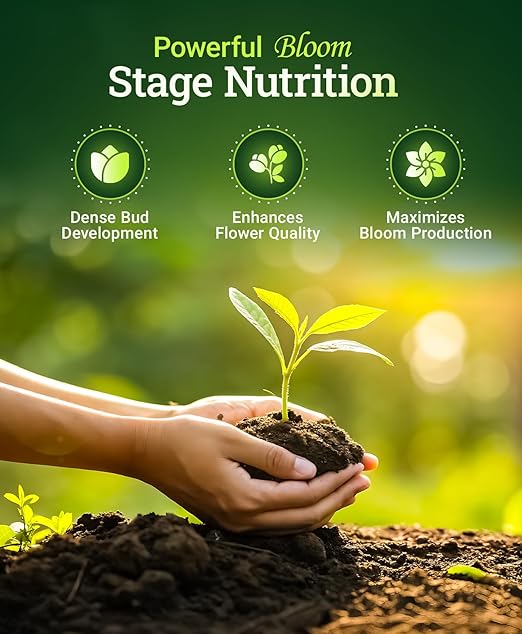 FoxFarm Cultivation Nation Bloom Fertilizer, 0-5-4 - Part 3 of FoxFarm 3-Part Feeding Program for Bud Development - Liquid Plant Food for Transition to Flowering and Harvest - 1 Quart