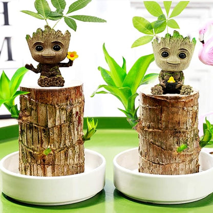 Face Planters Pots Head Planter,Succulent Planter Cute Plants Flower Pot with Hole Pen Hold for Home Garden (Groot Flower Pot)