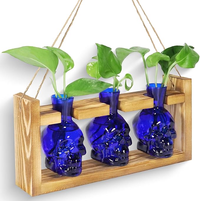 Plant Propagation Stations Hydroponics Halloween Decorations Skull Planter Vase Skulls Home Decor with Wooden Stand Gift(Blue)
