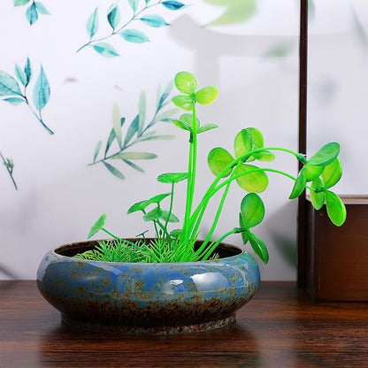 Happyyami Plant Pot Hydroponic Plant Succulent Pots Ceramic Round Decorative Bowl Hydroponic Water Lily Planter Pot for Flowers Succulent Table Centerpiece (Random Color) Indoor Plant Pots