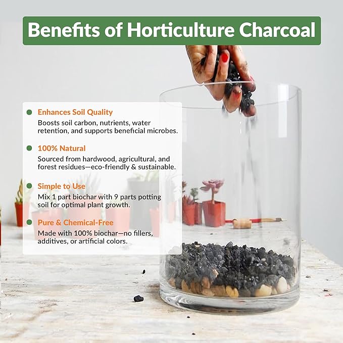Old Potters Premium Horticultural Charcoal Chips, Natural Soil Amendment for Areation and Healthy Microbe and Plant Growth. (12 Quarts)