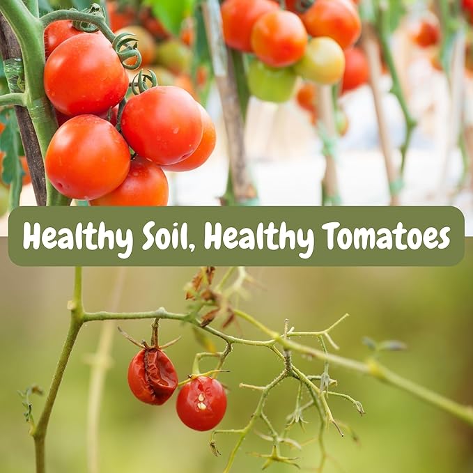 Soil Sunrise All Natural Tomato Starter/Potting Mix (8 Quarts) Perfect Backfill for Outdoor Tomato Plant Holes, Hand Blended with Natural Ingredients Including Worm Castings