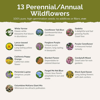 Eden Brothers Deer Resistant Wildflower Mixed Seeds for Planting, 1/4 lb, 120,000+ Seeds with Foxglove, Forget Me Not | Attracts Pollinators, Plant in Spring or Fall, Zones 3, 4, 5, 6, 7, 8, 9, 10