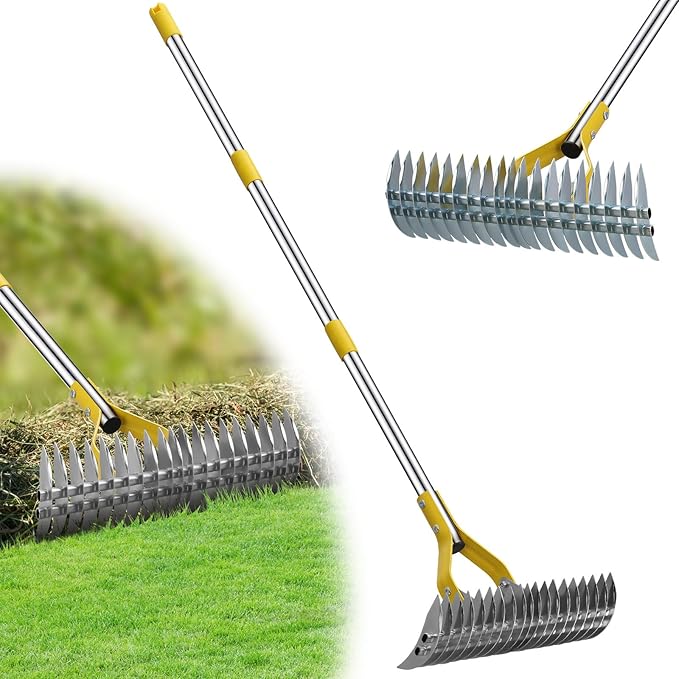 Garden Leaf Rake,Dual Function Thatching Rake for Lawn Dead Grass Leaves, Stainless Steel Heavy Duty 69” Lawn Dethatcher with Sharp 19 Tines, Fast Weeds, Leaf, Thatch, Dead Grass Removal Garden Tool