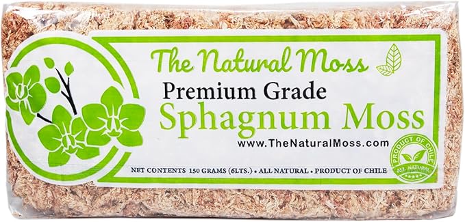 Inc Premium Chilean Sphagnum Moss 150 Grams/0.33 pounds, Premium Moss Dried, Long Fiber Moss Perfect for Healthy Orchids & Plants Growth repotting