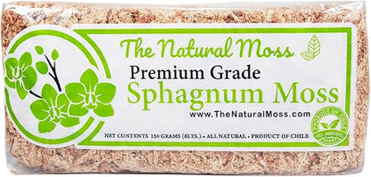 Inc Premium Chilean Sphagnum Moss 150 Grams/0.33 pounds, Premium Moss Dried, Long Fiber Moss Perfect for Healthy Orchids & Plants Growth repotting
