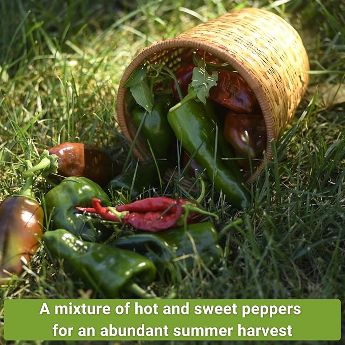 Sow Right Seeds - Hot & Sweet Pepper Seed Collection for Planting - California Wonder, Cubanelle, Marconi Red, Jalapeno, Serrano, Sunbright, Cayenne, Anaheim - Non-GMO Heirloom Peppers to Plant