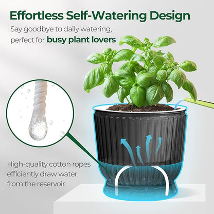 T4U 4 Inch Self Watering Plant Pot, 4 Pack Self Watering Pots, Small Self Watering Planter with Reservoir for Indoor Plants, African Violets (4 Pack 4" Pots, Translucent Gray)