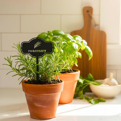 6 Piece Set Laser Cut Metal Garden Markers - Reusable Steel Tags for Potted Plants, Garden & Greenhouse. Durable Label for Kitchen Herbs & Spices