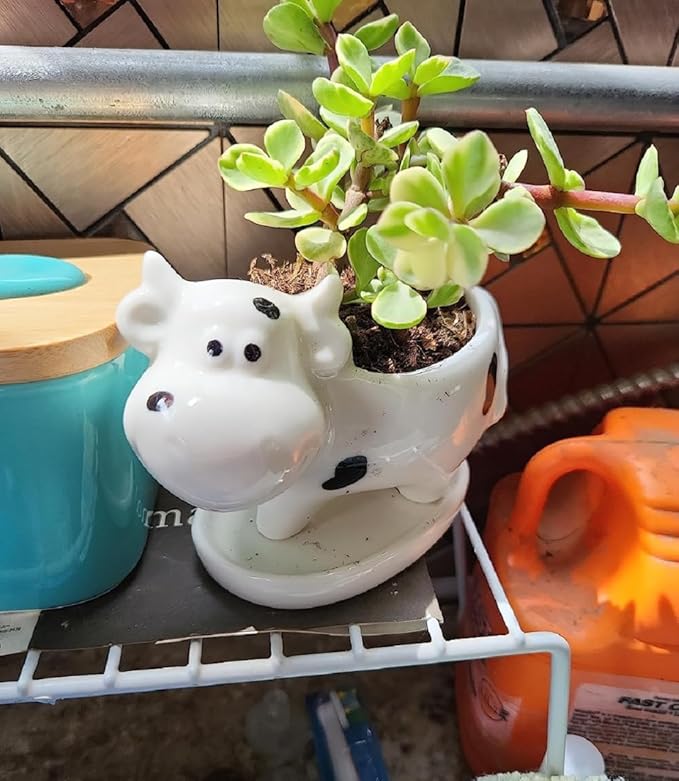 Ceramic Succulent Plant Pot Cactus Plant Pot Flower Pot Container Planter with Drainage Hole Home Office Desk Garden Gift Idea Animal Shaped Flower Pot Cute Vase Pot (White Cow)