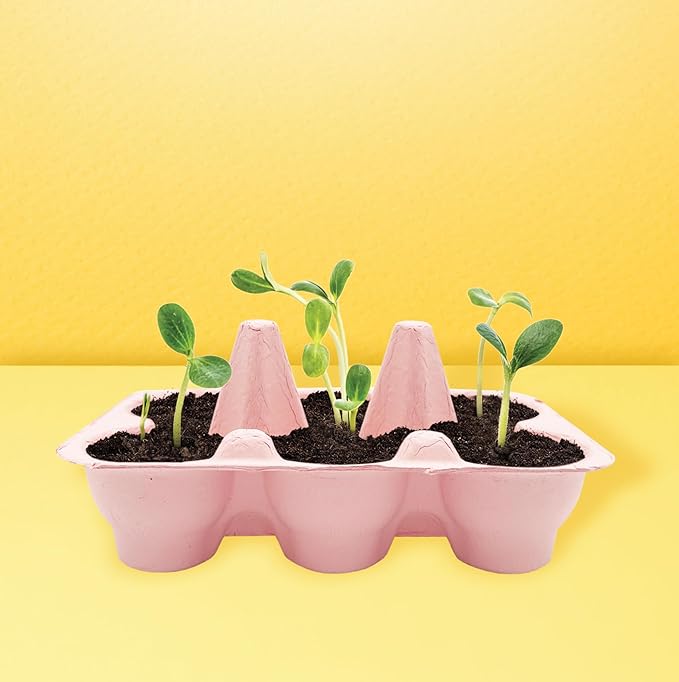 Buzzy Seeds Flower Starter Kit | 2-Pack Eco-Friendly Colorful Egg Cartons | Sunflower & Daisy Seeds | Indoor Flower Grow Kit | Gardening Gift | Ideal for Easter or Mother's Day Gifting