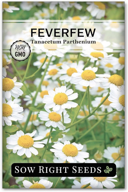 Sow Right Seeds - Feverfew Seeds for Planting - Non-GMO Heirloom Packet with Instructions to Plant an Outdoor or Indoor Herb Garden - Traditional Medicinal Herb, Make Tea & Extract for Migraines (1)