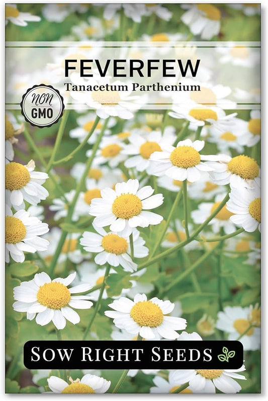 Sow Right Seeds - Feverfew Seeds for Planting - Non-GMO Heirloom Packet with Instructions to Plant an Outdoor or Indoor Herb Garden - Traditional Medicinal Herb, Make Tea & Extract for Migraines (1)