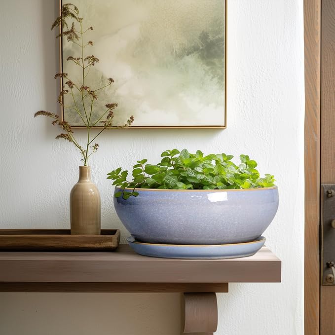 SQOWL Succulent Pots - 10 Inch Ceramic Bonsai Pots with Drainage Hole and Saucer, Round Shallow Planter for Indoor Outdoor Plants, Ceramic Planter Bowl, Home Decor, Gardening Gifts, Blue
