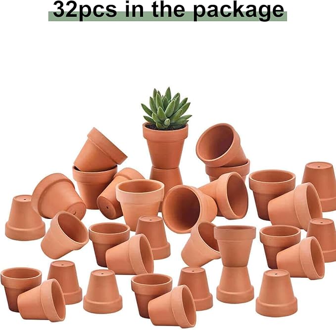 Riseuvo 32pcs 2" Small Mini Terracotta & Clay Pot Planter - Cactus Flower Nursery Terra Cotta Pots with Drainage, Perfect for Indoor/Outdoor Plants, Crafts