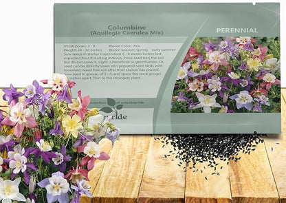 Outsidepride Mixed Columbine Seeds - 2000 Pcs Perennial, Easy to Grow Flower Seeds for Planting, Suitable for Pollinator-Friendly Garden, Cut Floral Arrangements, Ground Covers, or Borders