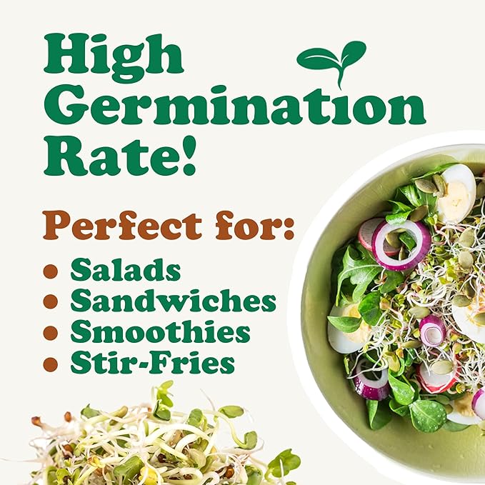 Food to Live Organic Salad Mix of Sprouting Seeds, 8 Ounces — Non-GMO Broccoli, Radish, Clover, Alfalfa. Rich Germination Rate, Non-Irradiated, Kosher, Vegan Superfood, Bulk, Rich in Sulforaphane