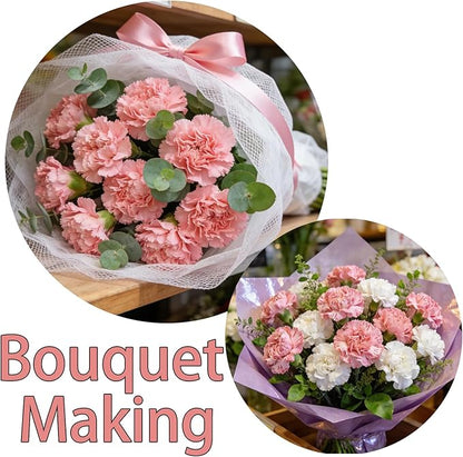 Carnation Seeds for Planting Outdoor Indoor, 1600 Dianthus Caryophyllus Seeds Annual Flowers, Fragrant Cut-Flower Mix