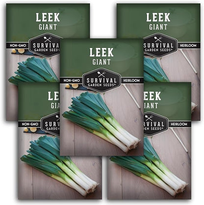 Survival Garden Seeds Giant Leek Seed for Planting - 5 Packets with Instructions to Plant and Grow Enormous Leeks in Your Home Vegetable Garden - Non-GMO Heirloom