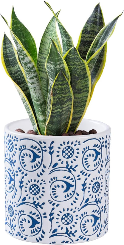 Blue and White Ceramic Plant Pot for Indoor Plants, 4.7 Inch Boho Flower Pot with Drainage Holes, Modern Planter for Home & Office Decor