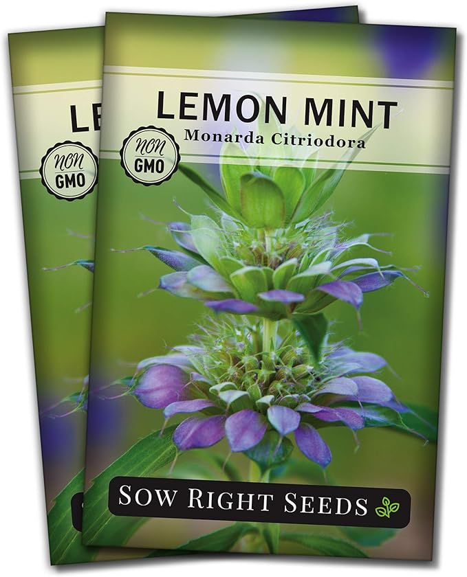 Sow Right Seeds - Lemon Mint Seed for Planting - Non-GMO Heirloom with Packet with Instructions to Plant and Grow an Herbal Tea Garden - Indoors or Outdoor - Monarda to Attract Pollinators (2)