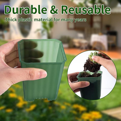 foxany 3 Inch Transparent Green Nursery Pots, 30 Pcs Thick Plastic Plant Pot, Square Flower Planting Pots Variety Pack, Seedling Planter Starter Pots with Saucers for Garden