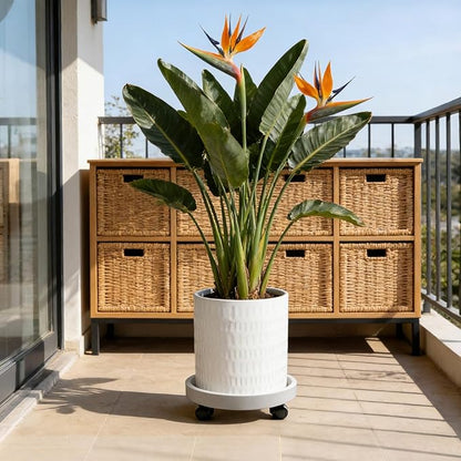 10 Inch Plant Pot with Caddy,Ceramic Planter with Drainage,Large Planters for Indoor Plants,Indoor&Outdoor Plant pots,Ceramic Flower pots,Cylinder Flower Planter Pot(Pure White)