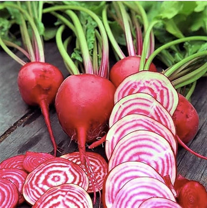 Rainbow Beet Seeds - Colorful Addition to Gardens and Cooking!